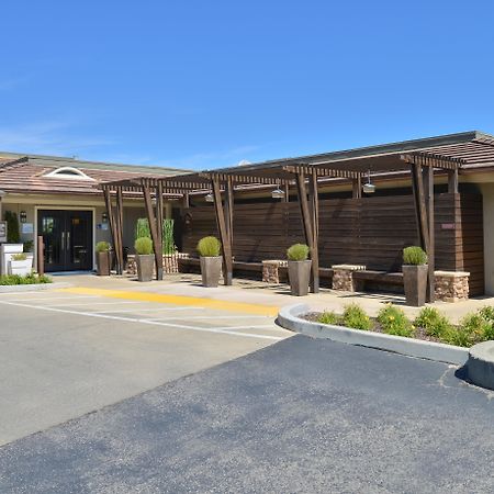 Holiday Inn Express Mill Valley San Francisco Area By Ihg Exteriör bild